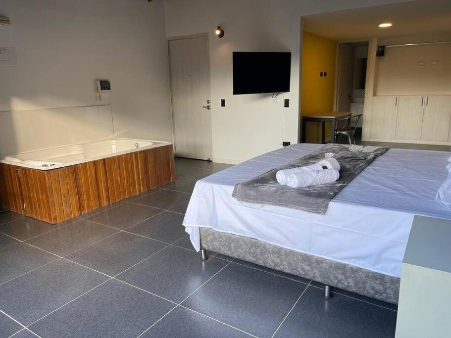 Apartment Hermoso Loft Con Jacuzzi Y Balcon
