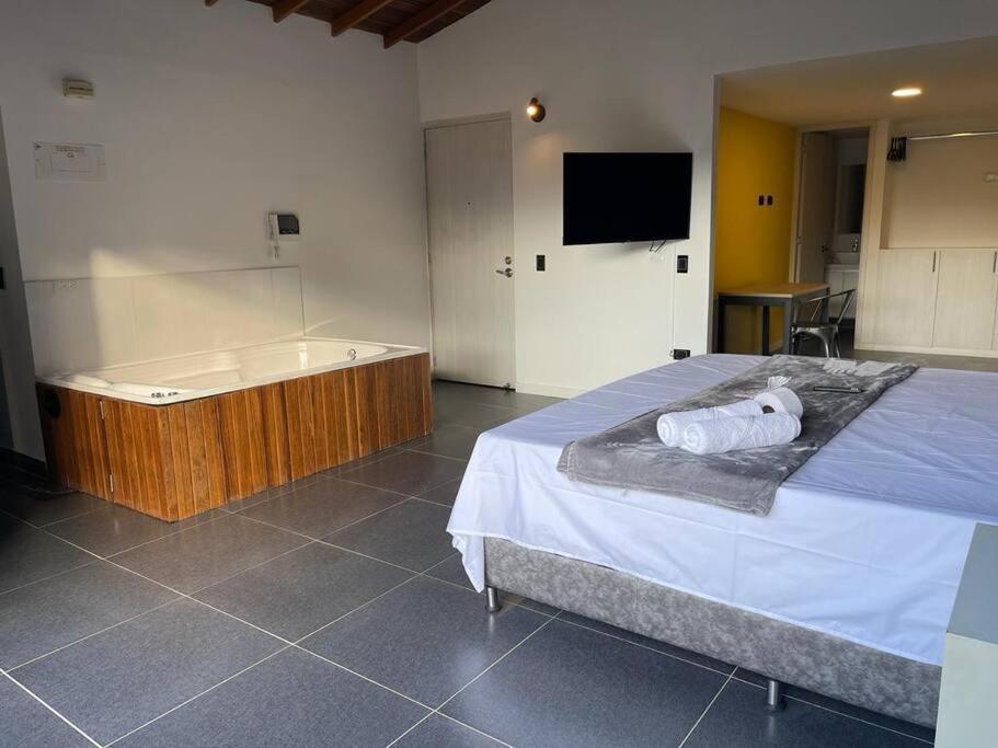 Hermoso Loft Con Jacuzzi Y Balcon Apartment